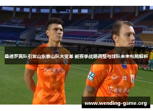 桑德罗离队引发山东泰山队大变革 新赛季战略调整与球队未来布局解析