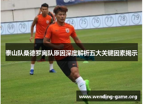 泰山队桑德罗离队原因深度解析五大关键因素揭示