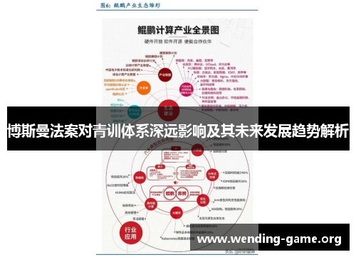 博斯曼法案对青训体系深远影响及其未来发展趋势解析 博斯曼法案对青训体系深远影响及其未来发展趋势解析