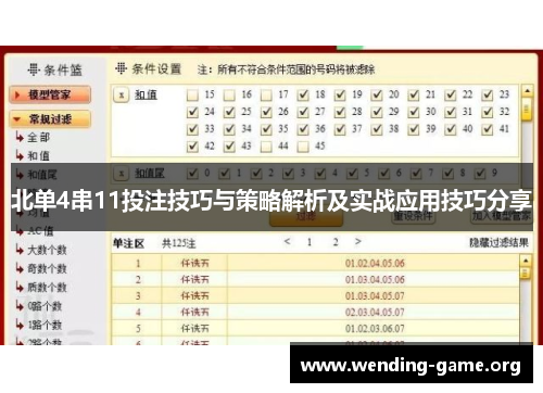 北单4串11投注技巧与策略解析及实战应用技巧分享