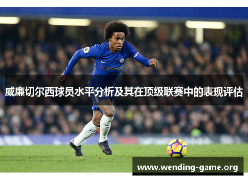 威廉切尔西球员水平分析及其在顶级联赛中的表现评估