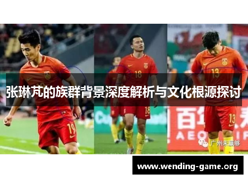 张琳芃的族群背景深度解析与文化根源探讨 张琳芃的族群背景深度解析与文化根源探讨