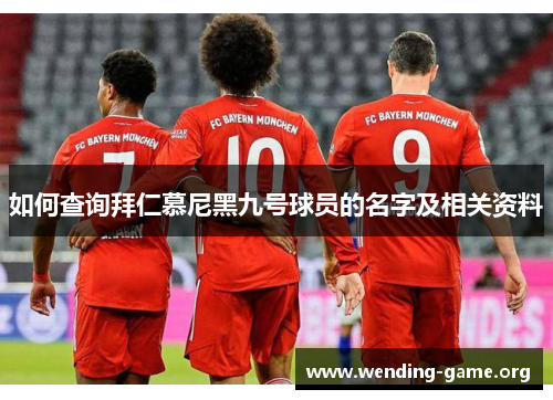 如何查询拜仁慕尼黑九号球员的名字及相关资料 如何查询拜仁慕尼黑九号球员的名字及相关资料