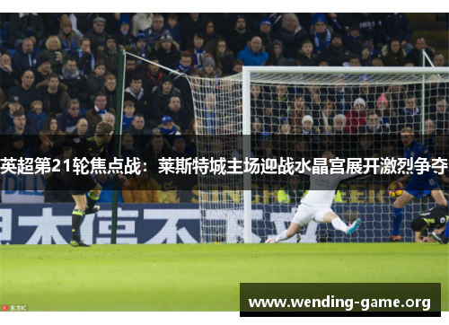 英超第21轮焦点战：莱斯特城主场迎战水晶宫展开激烈争夺